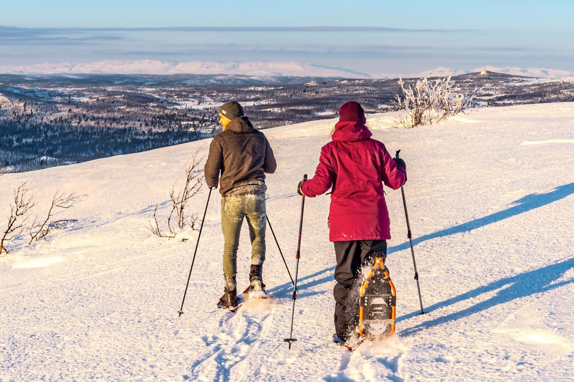Active Adventure Base - Apartment & Lavvo, Dagali Fjellpark Eksteriør billede