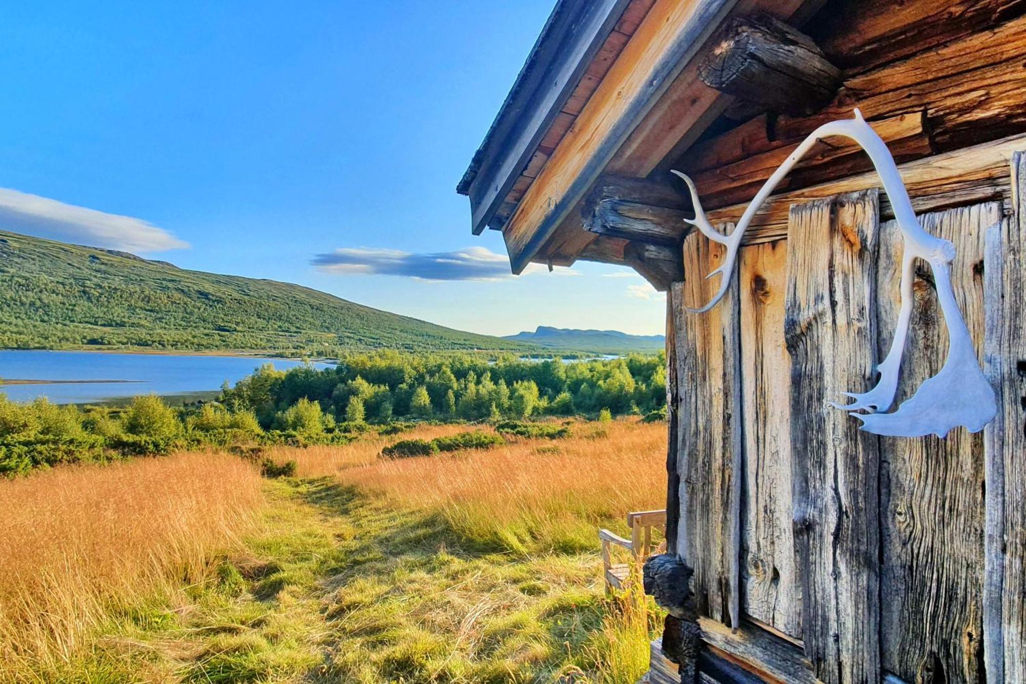 Active Adventure Base - Apartment & Lavvo, Dagali Fjellpark Eksteriør billede